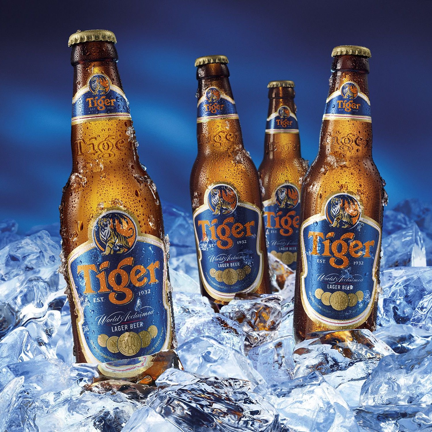 BIA TIGER CHAI